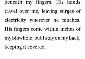 blow hole - blow hole1