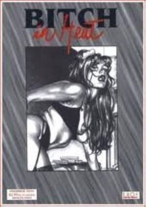 Giovanna Casotto Porn Comics - Adult Comic XXX - Bitch in Heat #10: Giovanna Casotto: Amazon.com: Books