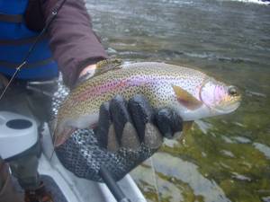 Fishing Porn - Enjoy deep sea fishing adventure with experienced skipper, crew with Asia  Pacific Toursim.