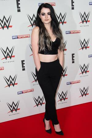 2016 Wwe Paige Porn - After WWE Diva Paige's naked pictures were leaked, here are seven other sex  tape scandals which rocked the wrestling world | The Sun