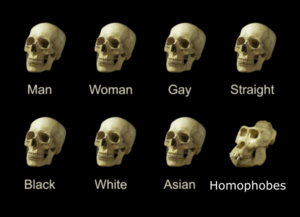 asian skull fuck - The skull of a homophobe : r/gay
