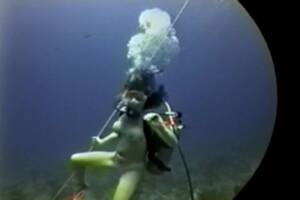 Diving Bear Porn - Diving Bear Porn | Sex Pictures Pass