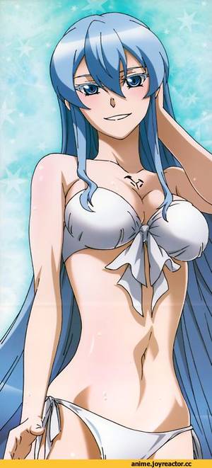 Black Bullet Anime Girl Sexy Porn - Akame ga Kill! Hot AnimeManga ...