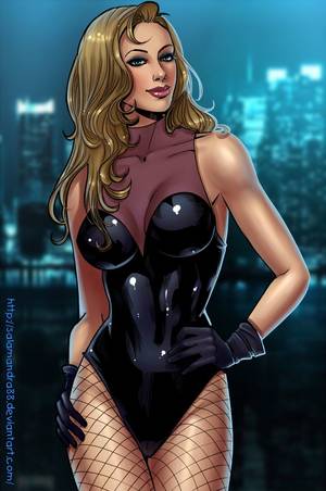 cartoon black canary nude - Black Canary by Salamandra88 on DeviantArt