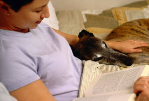 Girl Has Sex With Cat - Dog Breed Pictures: The Right Dog for You & Your Health jpg 493x335