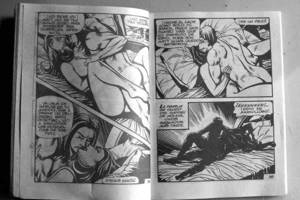 Denver Public Porn - 'Novelas' at the Athmar Public Library, approximately August 3, 2005