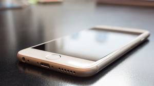 England Schoolgirl Porn - 