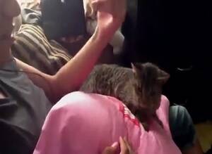 Man Fucks Cat - Guy Fingers Cat GayBeast - Bestiality Porn Tube With Boy - Extrem Sex and  Taboo Porn.