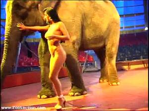 girl takes elephant dick - Pure breasted exotic brunette whore strips as she dances around elephant in  this zoophilia vid - LuxureTV