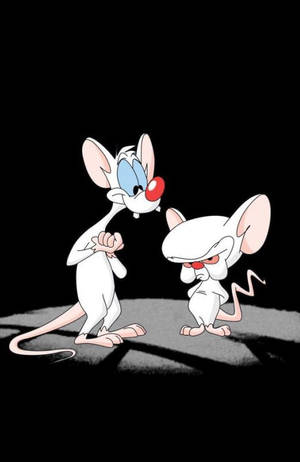 Animaniacs Woodstock Porn - Pinky & The Brain iPhone 5 Wallpaper