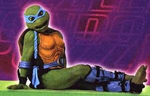 Ninja Turtle Venus Sex Porn - The Female 'Yoko Ono' Turtle That Toppled the Entire Ninja Turtle Empire