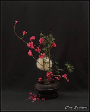 japanese nude ikebana - Candle Arrangements, Floral Arrangements, Ikebana, Flower Arrangement,  Black Dark, Nocturne, Bonsai, Bouquets, Flower Arrangements