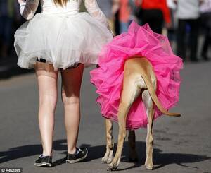 Jennifer Lopez Upskirt Porn - Judge rules that 'upskirt' photos taken without consent are NOT illegal (so  long as victim is wearing panties) | Daily Mail Online