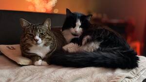 Emma Watson Pov Porn - weekend open thread - July 15-16, 2023 â€” Ask a Manager