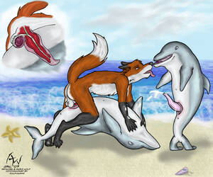 Dolphin Anthro Sex - Rule 34 - 2007 animal anthro anthro bestiality anus balls canine penis  cetacean cum dolphin facial female feral furry furry only internal  interspecies knot knotting male marine nude on back penetration penis