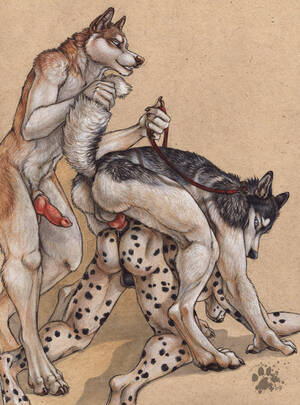 Husky Gay Porn - Rule34 - If it exists, there is porn of it / blotch / 3114041