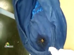 busty lactating soaked shirt - Bullet Stopped By T-shirt