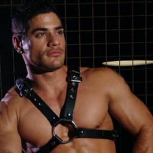 Leather Stud Porn - Gay Stud Porn