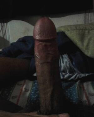latin hard dick - Latin Thick hard Dick Porn Pictures, XXX Photos, Sex Images #379574 - PICTOA