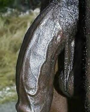 big black dick gallery - Big Black Cocks Porn Pictures, XXX Photos, Sex Images #1606156 - PICTOA