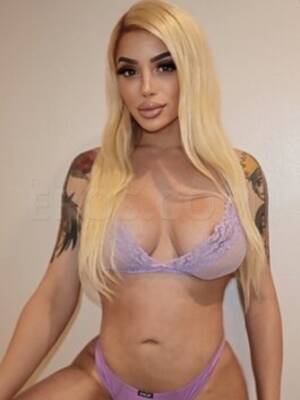 eros guide san francisco transexual - Eros Guide San Francisco Transexual | Sex Pictures Pass