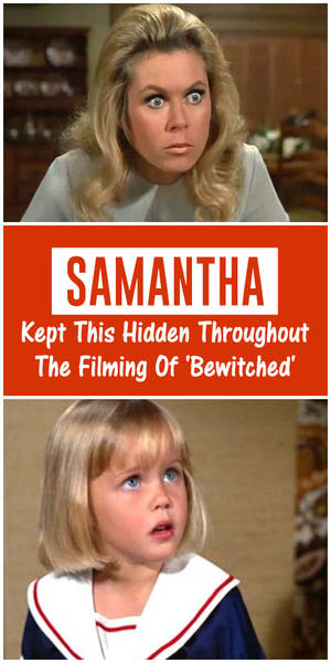 Elizabeth Montgomery Animated Porn - Elizabeth montgomery