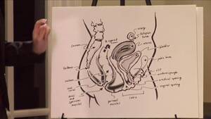 anal sex free games - Free EDUCATIONAL ANAL SEX GAMES Porn Video HD