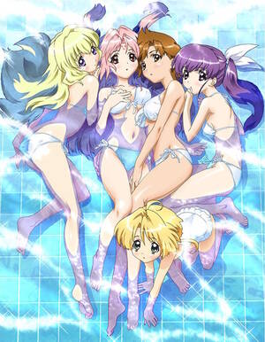 Anime Girls Bravo Hentai Porn - Girls Bravo: First Season - Anime - AniDB
