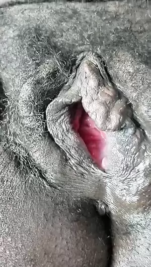 black pregnant pussy spread close up - Big black gaping pregnant pussy | xHamster