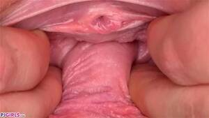 my pussy close up - Watch Pussy close up - Pjgirls, Pussy, Close Up Porn - SpankBang