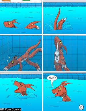 Furry Porn Comic Pool - Fun in the pool comic porn | HD Porn Comics