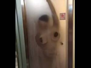 chengdu - Chengdu Taikoo Li Fitness Trainer And Busty Female Members Fuck In The  Bathroom - xxx Mobile Porno Videos & Movies - iPornTV.Net