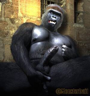 Gorilla Porn - ð•¸ð–”ð–“ð–˜ð–™ð–Šð–—ð–‡ð–†ð–Žð–™ on X: \