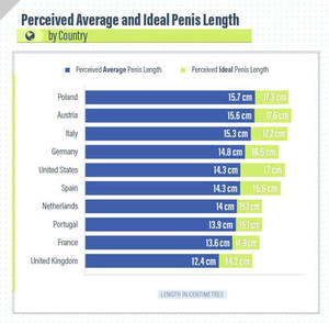 Average Size Penis Porn - Penis Length