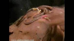 Dirty Bondage Porn - Filthy slaves messy humiliation and dirty bdsm of foul food subbie Crystel  - XVIDEOS.COM