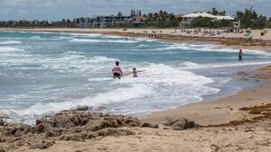 leaf beach nudes - Skinny-dipping on two Treasure Coast beaches