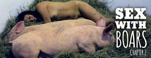 Boar Sex Porn - Woman sex with boar