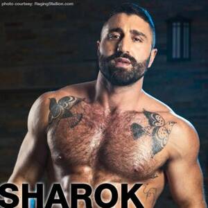 Arab Men Porn Stars - Arad Winwin | Next Door Studios Gay Porn Star | smutjunkies Gay Porn Star  Male Model Directory