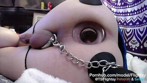 Butt Plug Shemale - Buttplug Shemale Porn Videos