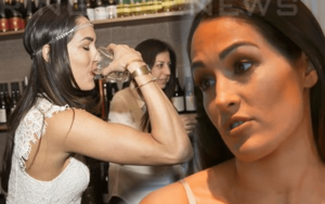 bella twins anal sex - Nikki Bella 'Had To Become A Mother At A Very Young Age' Due To Brie Bella's  Drinking