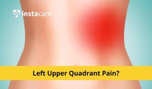 fat upper pelvic area - Left Upper Quadrant Pain - Causes, Symptoms And Treatment