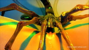 Girl Alien Xenomorph Impregnation Porn - xenomorph porn - extreme xenomorph sex - Darknessporn.com