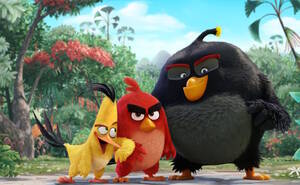 Angry Birds 2016 Gay Porn - Angry Birds Movie Review