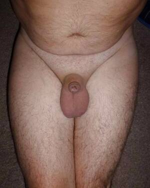 funny penis xxx - Funny Cock Porn Pics - PICTOA