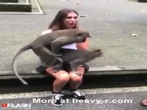 Big Dick Girl Fucks Monkey - Monkey Porn