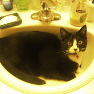 fat sleeping granny - Big Fat Dirty Granny Porn Music - Heavymetal Zeus | Shazam