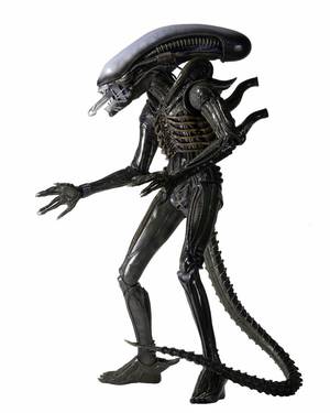 Alien 1979 Xenomorph Costume Porn - Alien 1979 figurine 1/4 Alien Xenomorph NECA