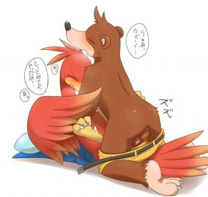 Banjo Kazooie Porn Penis - e621 3_toes anthro anus avian banjo-kazooie banjo_(banjo-kazooie) bear bird