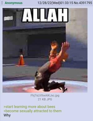 Ant Farm Porn Captions - Anon likes bees : r/greentext