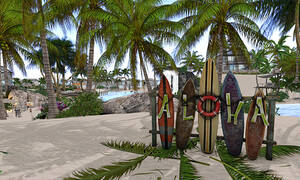 bisexuals nudists on the beach - Paradise Palm Beach | Second Life Destinations